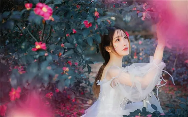 温暖梦乡的甜蜜告白：晚安小情话精选