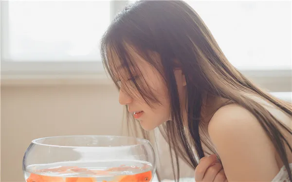 梦幻森林奇遇记：星河下的浪漫邂逅